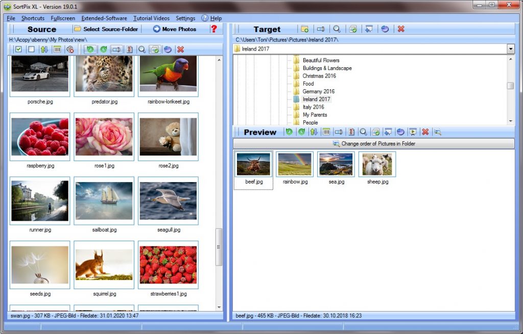 Photo organizing software