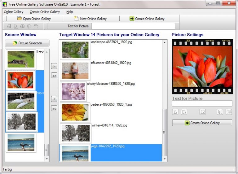 create online photo album